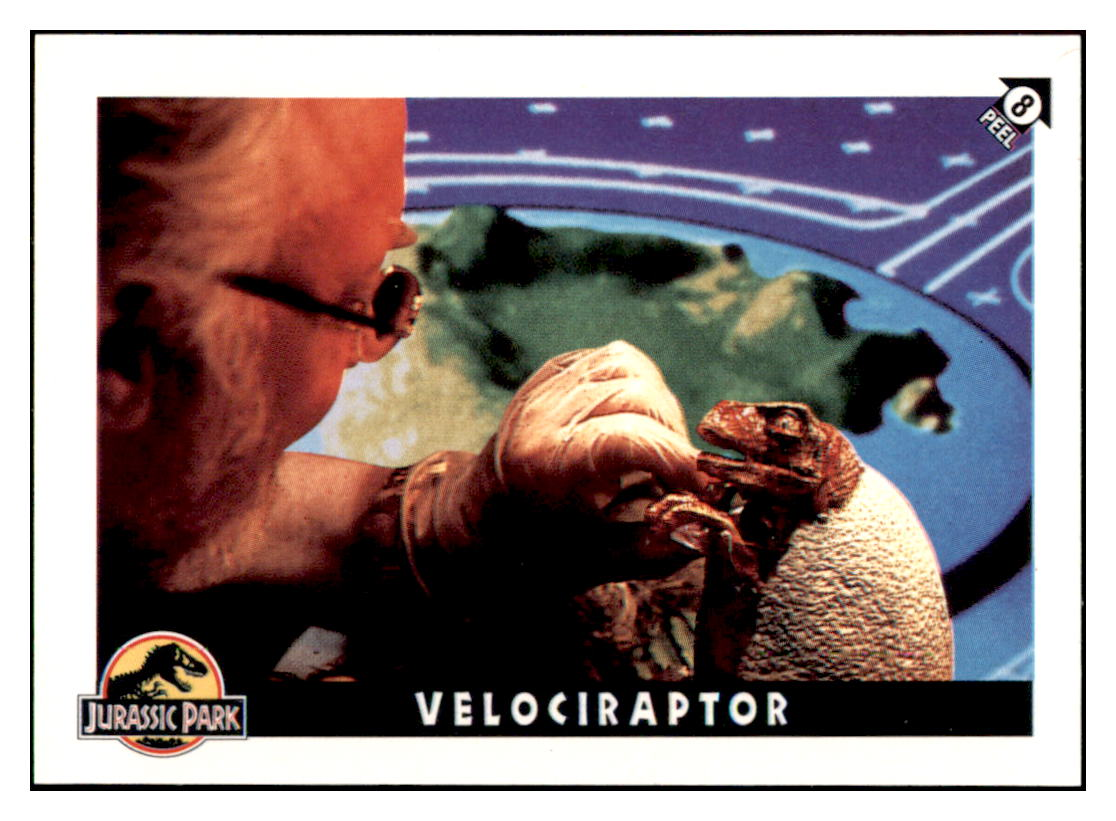 1993 Jurassic Park  Velociraptor Sticker Card GMMGD simple Xclusive Collectibles   