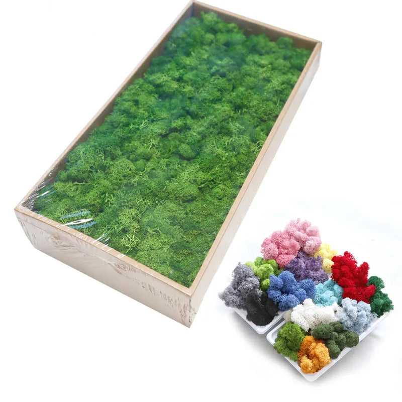 20G Natural Moss Artificial Plant - Home Garden Decoration DIY Flower Material Micro Landscape Accessories