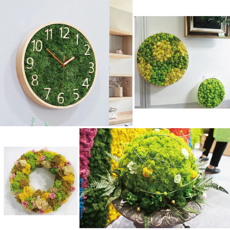 20G Natural Moss Artificial Plant - Home Garden Decoration DIY Flower Material Micro Landscape Accessories