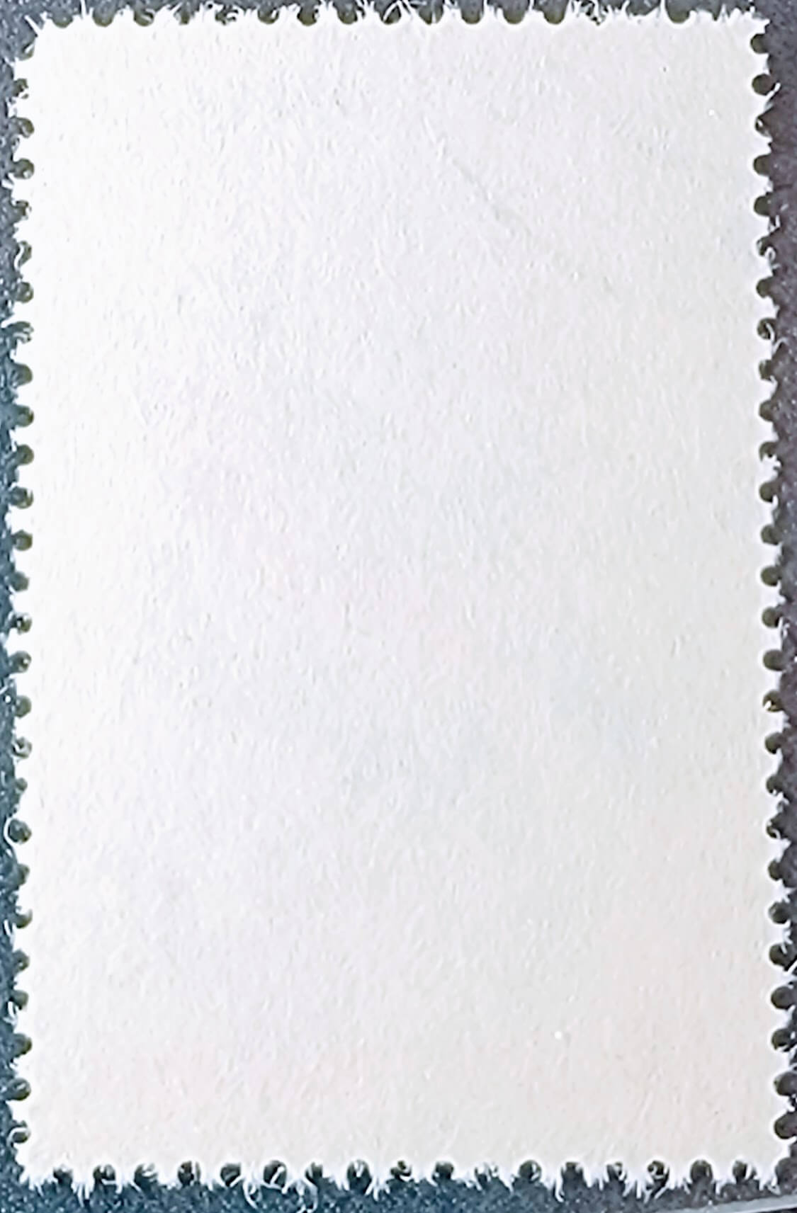 Pyrrhula Pyrrhula stamp back