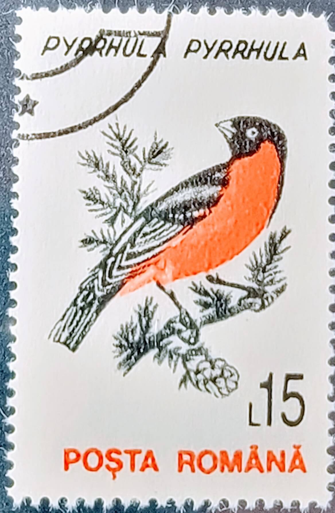 Posta Romana Bird Stamp,Posta Romana Pyrrhula Pyrrhula bird, Pyrrhula Pyrrhula bird stationary